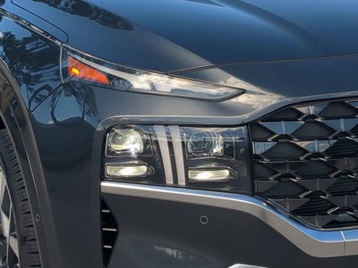 2022 Hyundai Santa Fe Calligraphy
