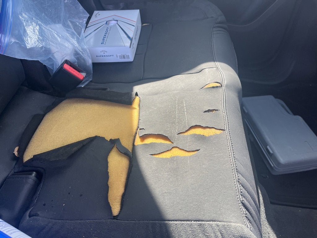 2019 Land Rover Discovery Sport HSE